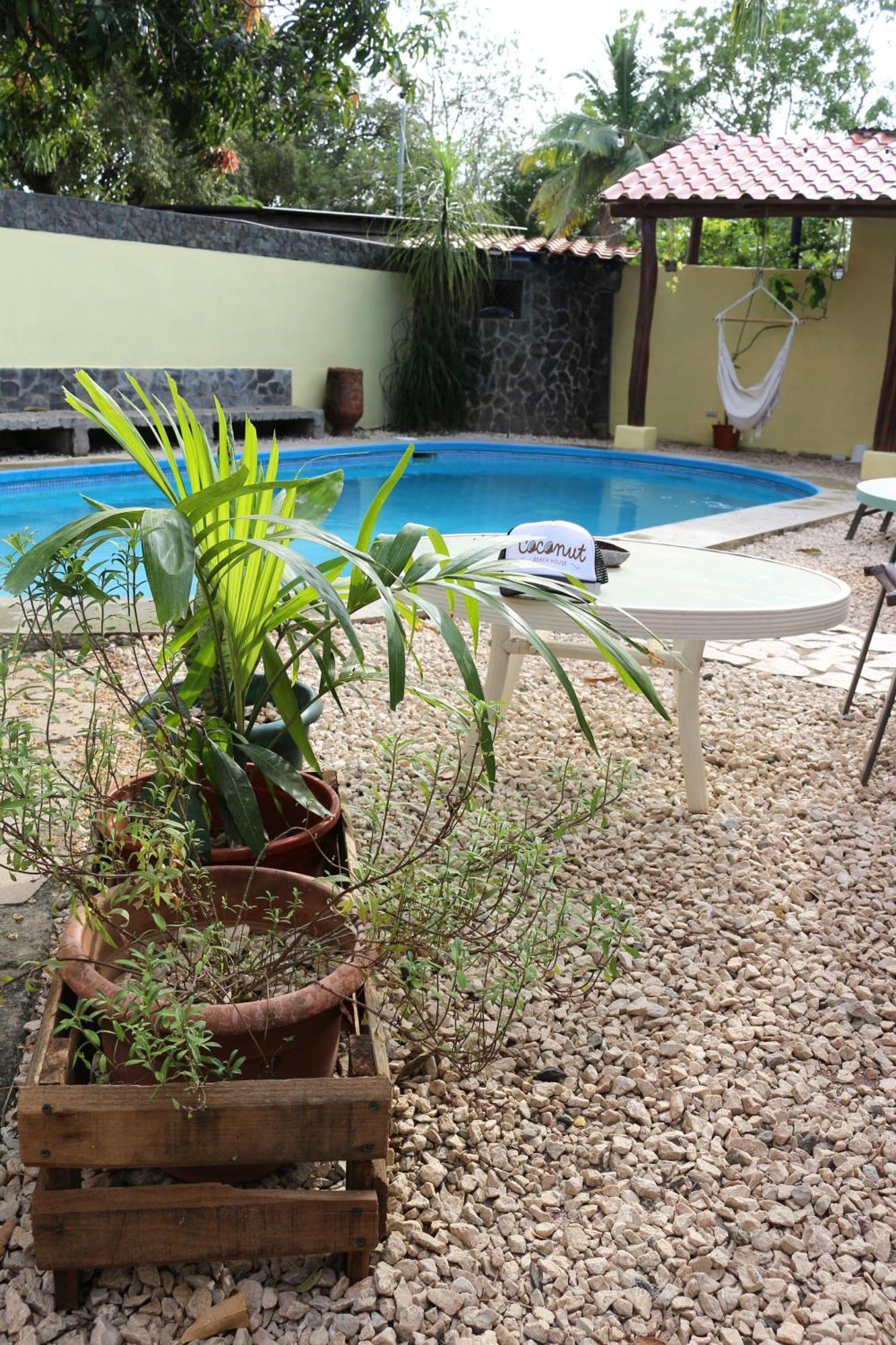 Coconut Beach House Playa Conchal Exteriér fotografie